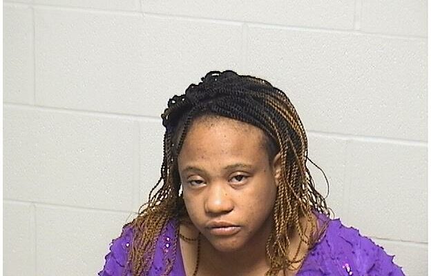 Grayslake Woman Arrested in DUI, Assault Incident in Volo