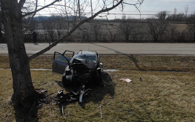 Gurnee Man Intentionally Crashes Car Into Tree After Argument With Vehicle Passenger